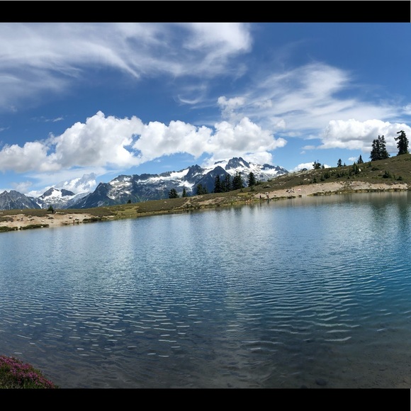 Meet your Posher, Laura - Picture 1 of 1